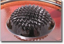 FerroFluid25